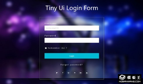 璀璨登录框网页模板